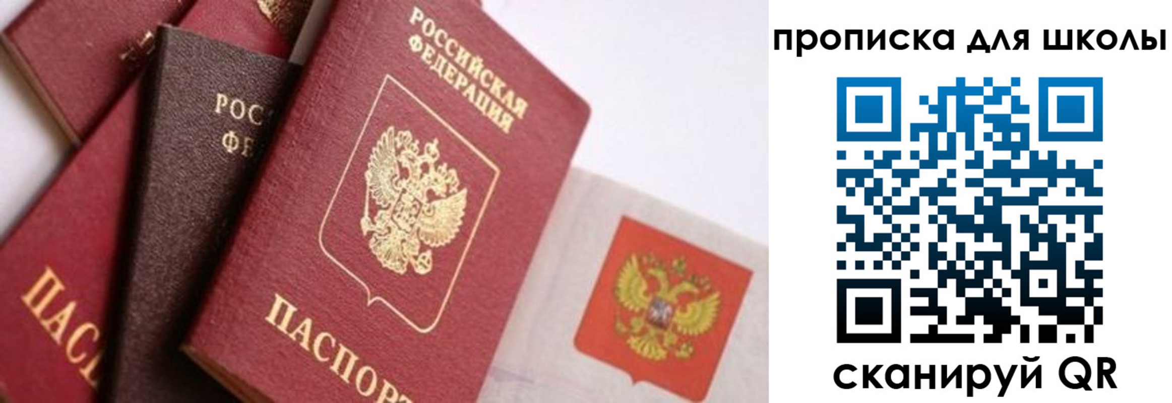 прописка поиск в Карабаново